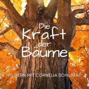 Am 11.1ß.2ß25 findet eine Pilger-Tour zum Thema Kraft der Bäume statt.