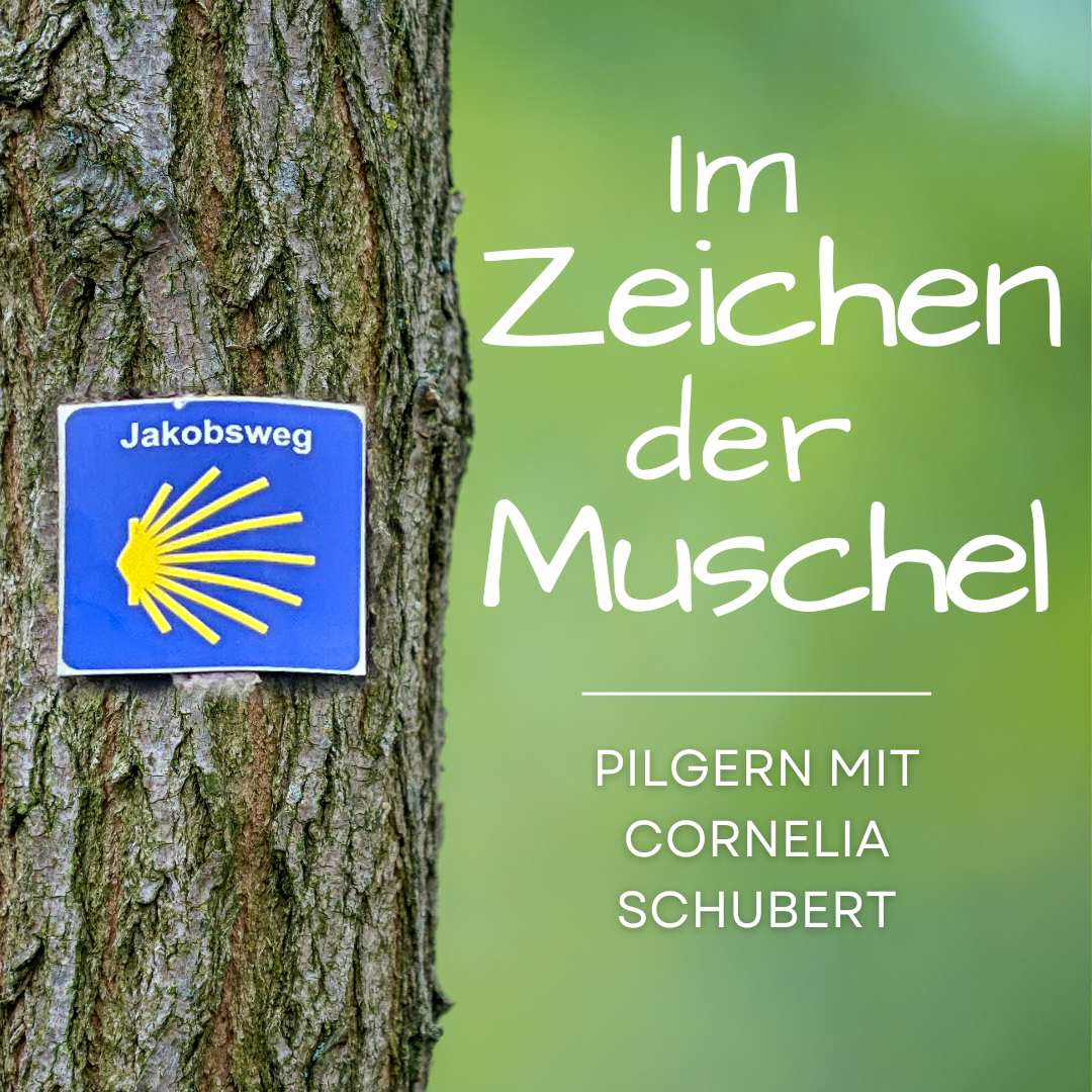 Eine Ankündigung, dass es ein Pilgern mit Cornelia Schubert zum Thema "Im Zeichen der Muschel" gibt.