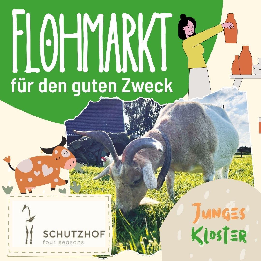 Im Rahmen des "Jungen Klosters" findet im Kloster ein Flohmarkt für den Schutzhof "Four Seasons" statt.