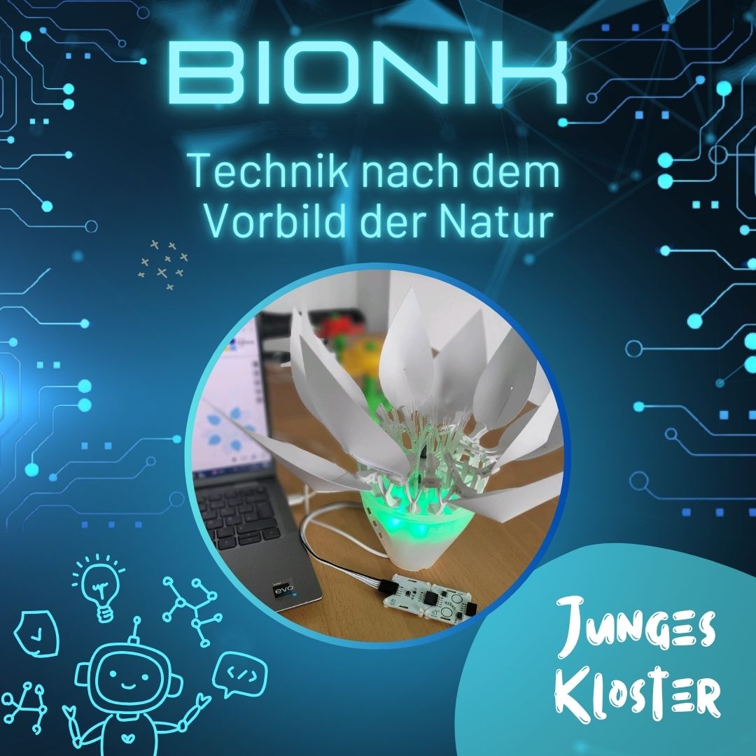 Eine Ankündigung, dass am 22,10.2025 ein Bionik-Kurs für Kinder stattfindet.