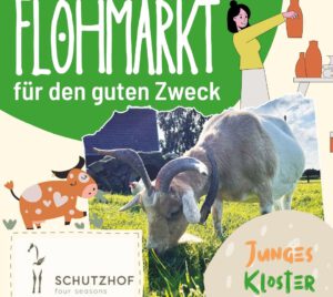 Im Rahmen des "Jungen Klosters" findet im Kloster ein Flohmarkt für den Schutzhof "Four Seasons" statt.